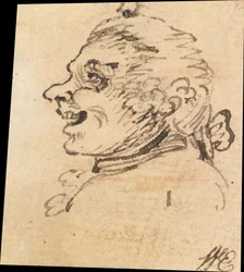 Grotesque Male Head